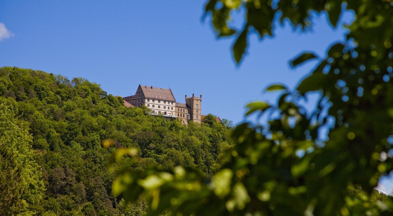 Schloss Weitenburg Starzach Exterior foto